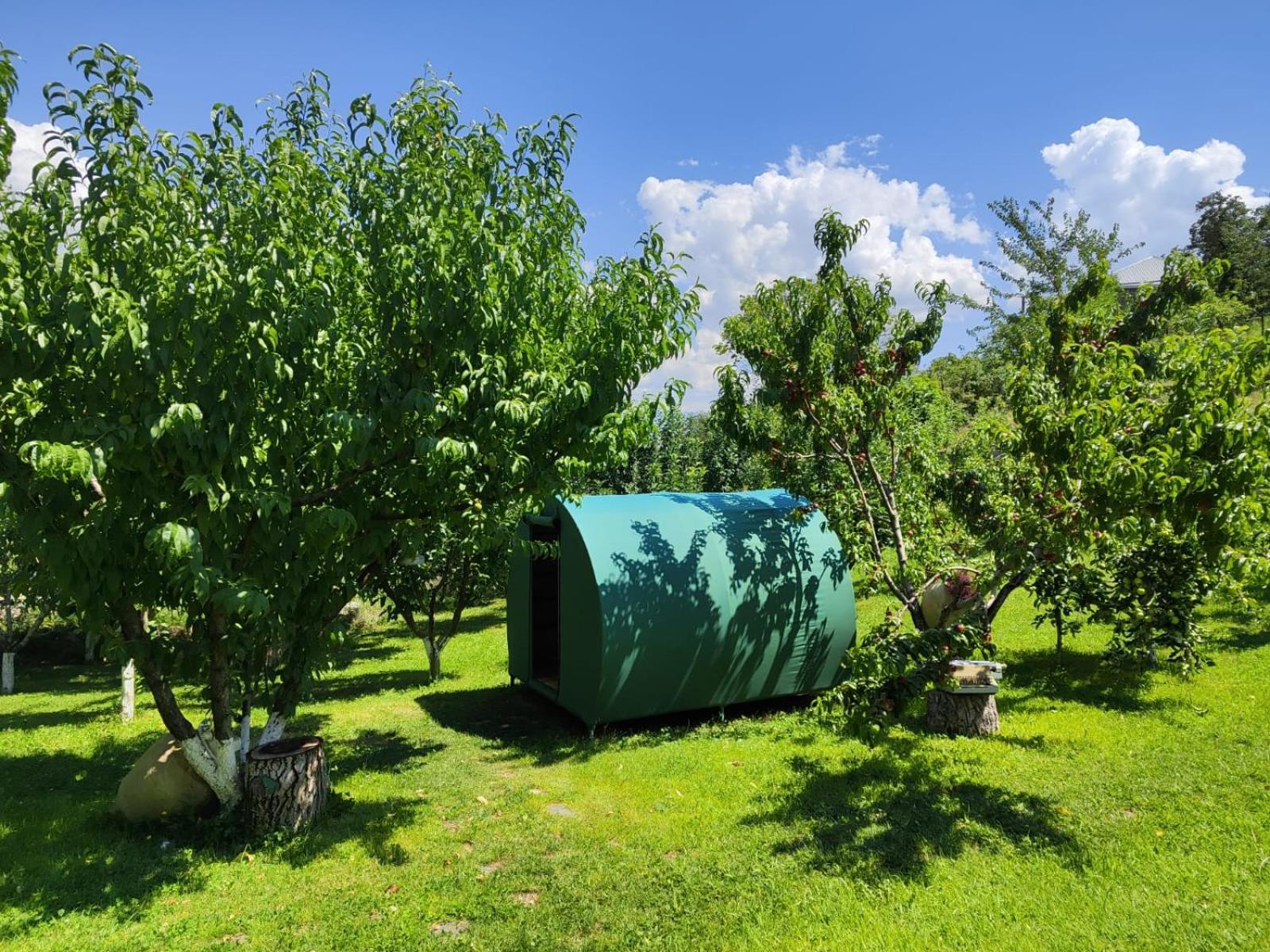 Yeghegnadzor Nataly Campsite מראה חיצוני תמונה