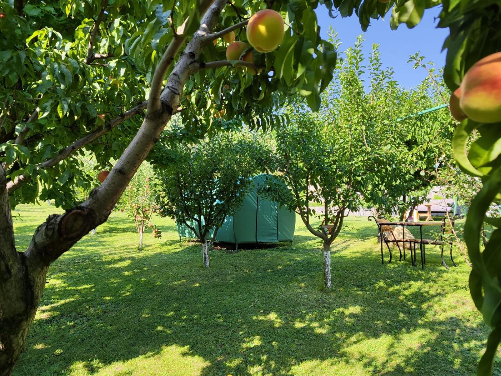 Yeghegnadzor Nataly Campsite מראה חיצוני תמונה